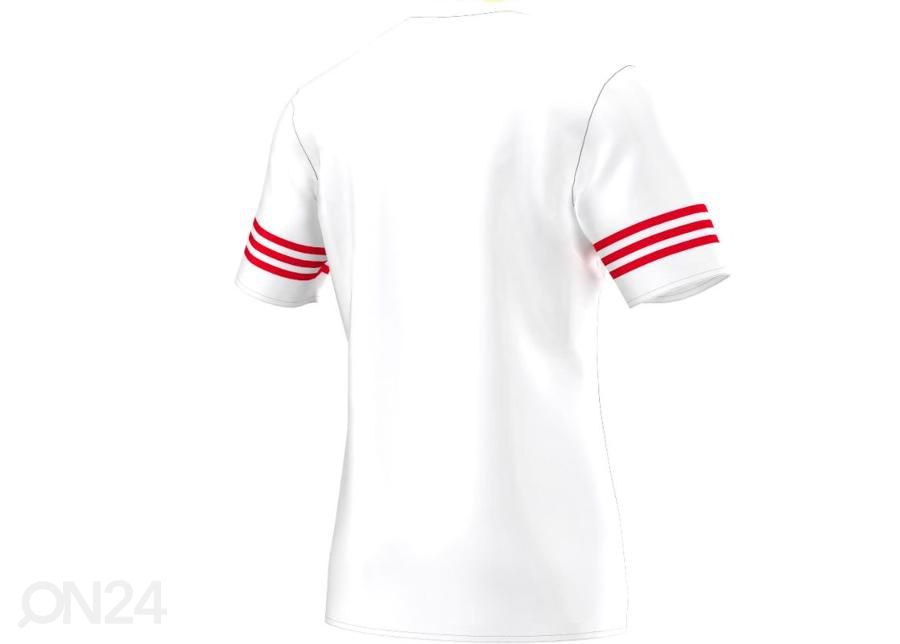 Meeste jalgpallisärk adidas Entrada 14 F50490 suurendatud