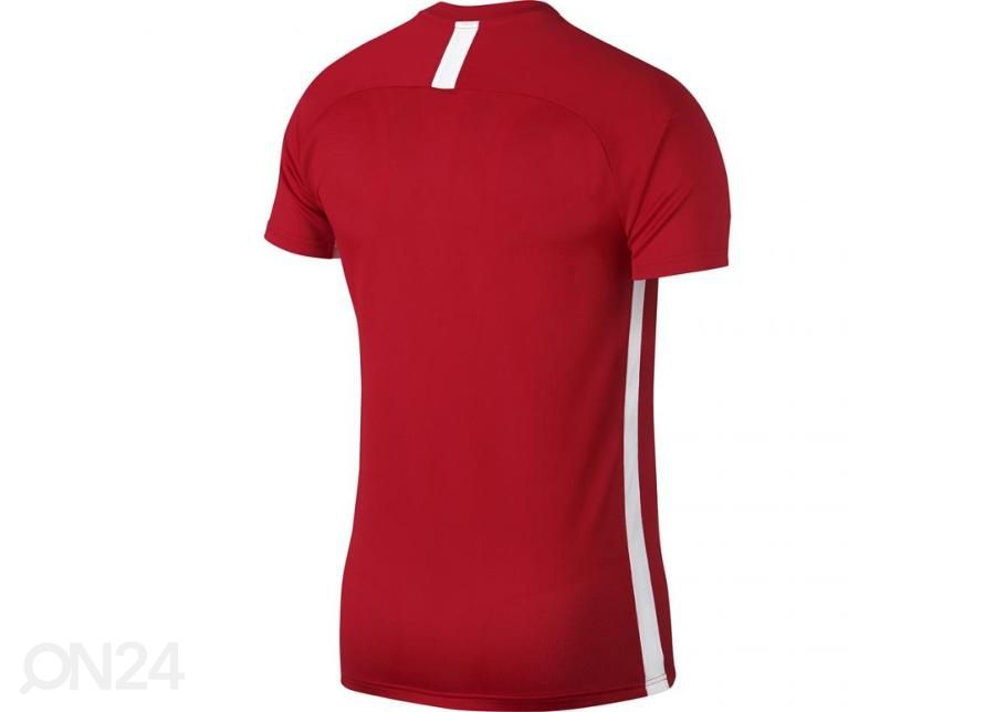 Meeste jalgpallisärk Nike Dry Academy SS M AJ9996-657 suurendatud