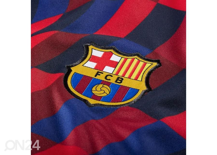 Meeste jalgpallisärk Nike FC Barcelona Pre-Match 20/21 M CD5812-658 suurendatud