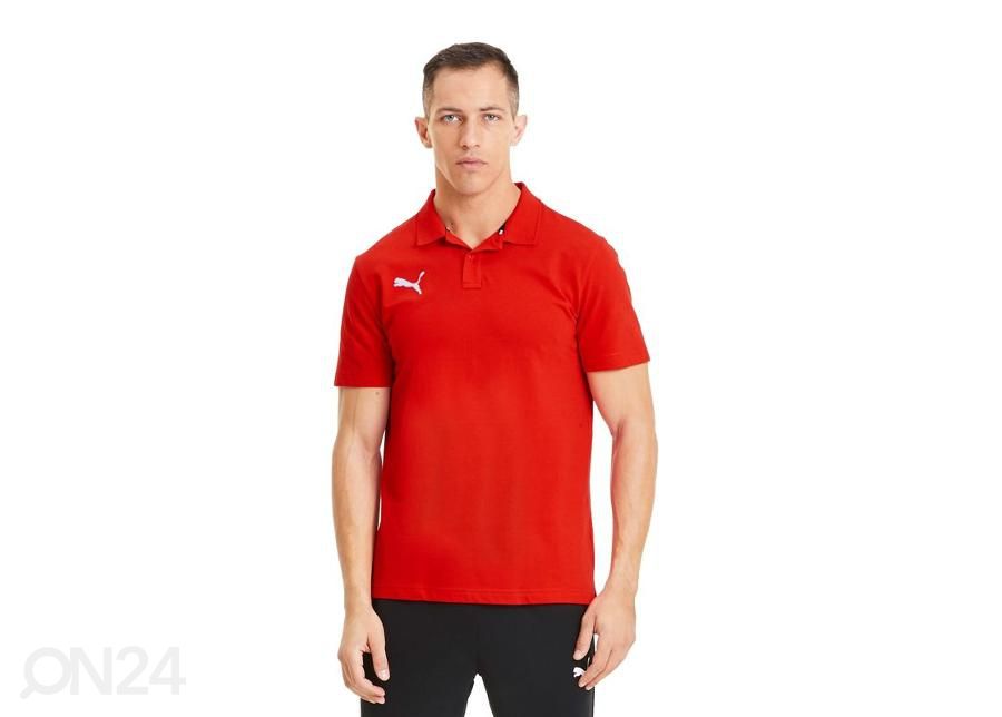 Meeste jalgpallisärk Puma teamGoal 23 M 656579-01 suurendatud
