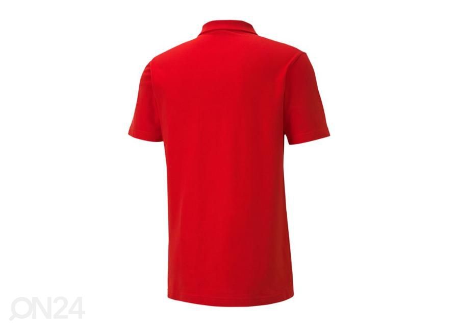Meeste jalgpallisärk Puma teamGoal 23 M 656579-01 suurendatud