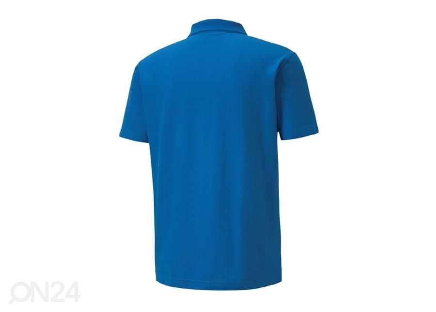 Meeste jalgpallisärk Puma teamGoal 23 M 656579-02 suurendatud