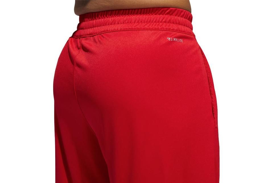 Meeste korvpalli lühikesed püksid Adidas Badge of Sport M DX6744 suurendatud