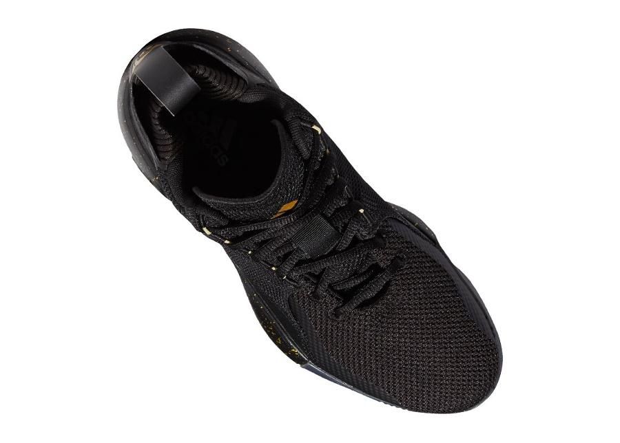 Meeste korvpallijalatsid Adidas D Rose 773 2020 M FW9838 suurendatud