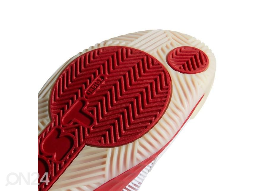 Meeste korvpallijalatsid Adidas Pro Boost Low M suurendatud