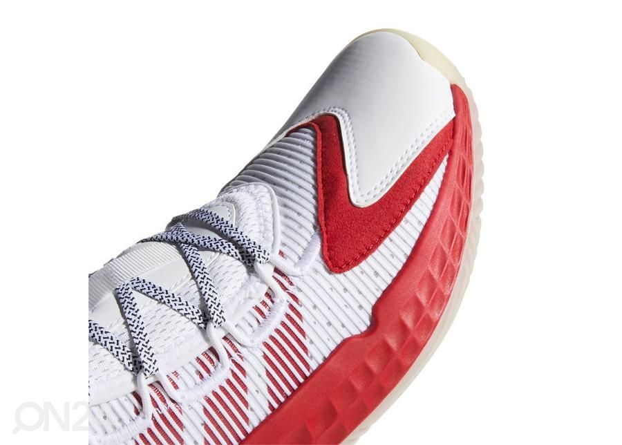 Meeste korvpallijalatsid Adidas Pro Boost Low M suurendatud