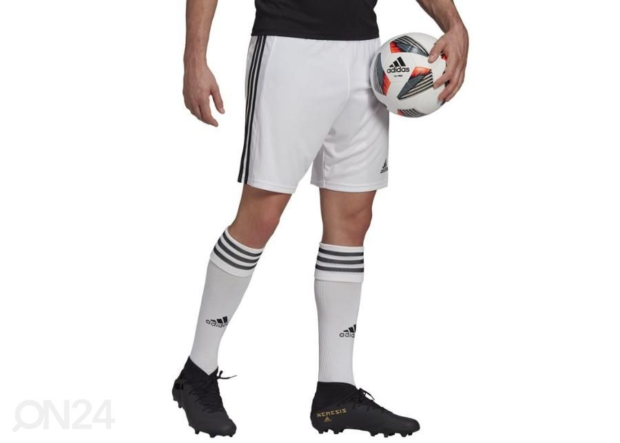 Meeste lühikesed jalgpallipüksid Adidas Squadra 21 Short suurendatud