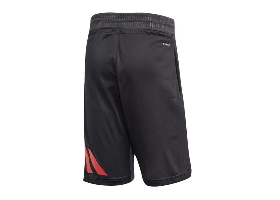 Meeste lühikesed korvpallipüksid Adidas Harden Swagger M FH7750 suurendatud