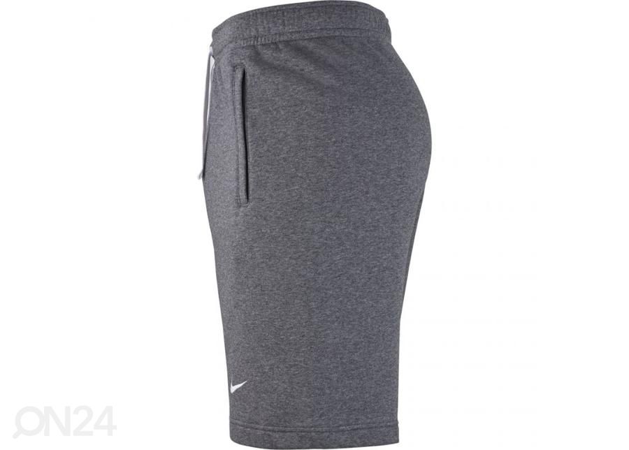 Meeste lühikesed treeningpüksid Nike Short FLC Team Club 19 M AQ3136-071 suurendatud