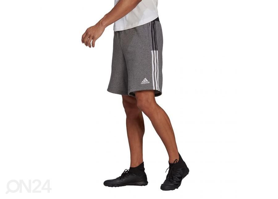 Meeste lühikesed vabaajapüksid Adidas Tiro 21 Sweat suurendatud