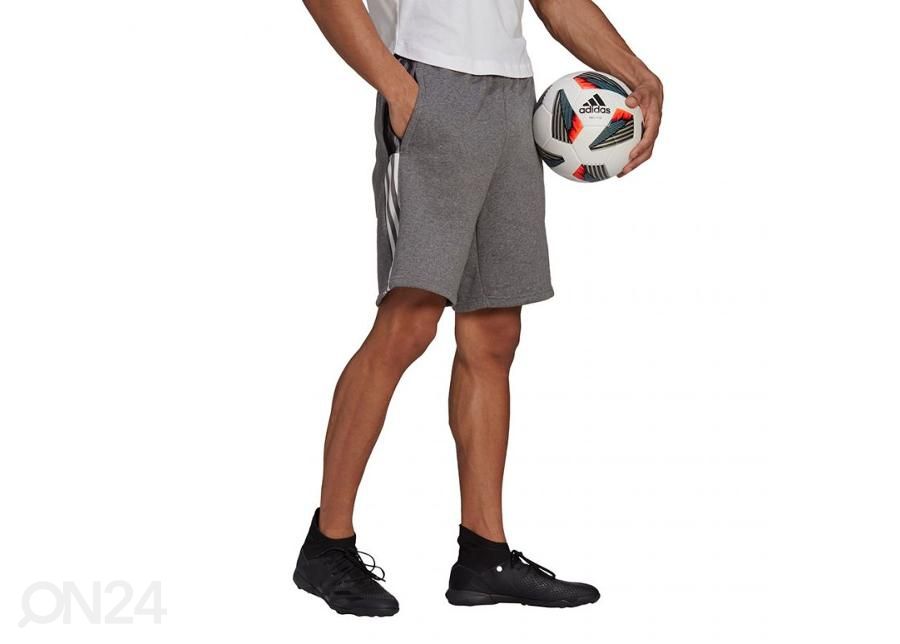Meeste lühikesed vabaajapüksid Adidas Tiro 21 Sweat suurendatud