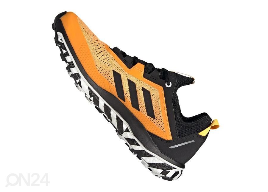 Meeste matkajalatsid Adidas Terrex Agravic Flow M FV2412 suurendatud