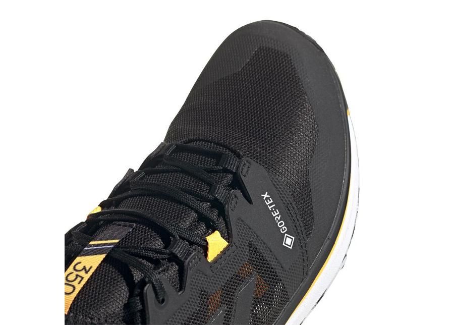 Meeste matkajalatsid Adidas Terrex Agravic Gtx M FW9875 suurendatud
