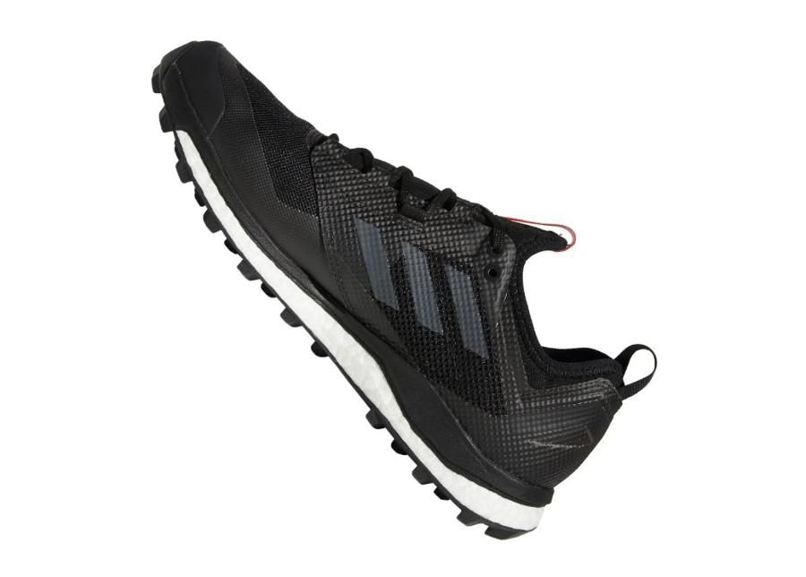 Meeste matkajalatsid adidas Terrex Agravic Xt Gtx M AC7655 suurendatud