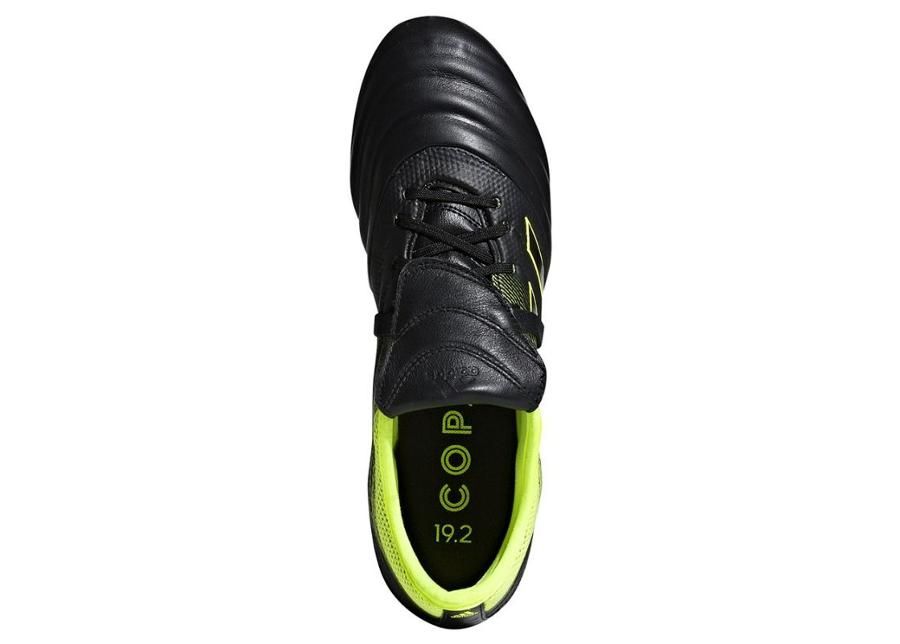 Meeste muru jalgpallijalatsid adidas Copa gloro 19.2 SG M F36080 suurendatud