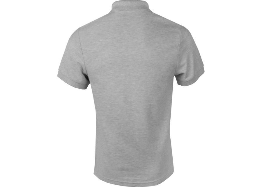Meeste polo särk Nike Team Core Polo M 454800-050 suurendatud