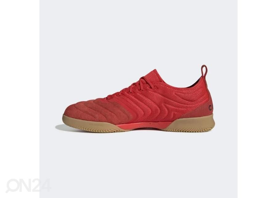 Meeste saali jalgpallijalatsid adidas Copa 20.1 IN M G28623 suurendatud