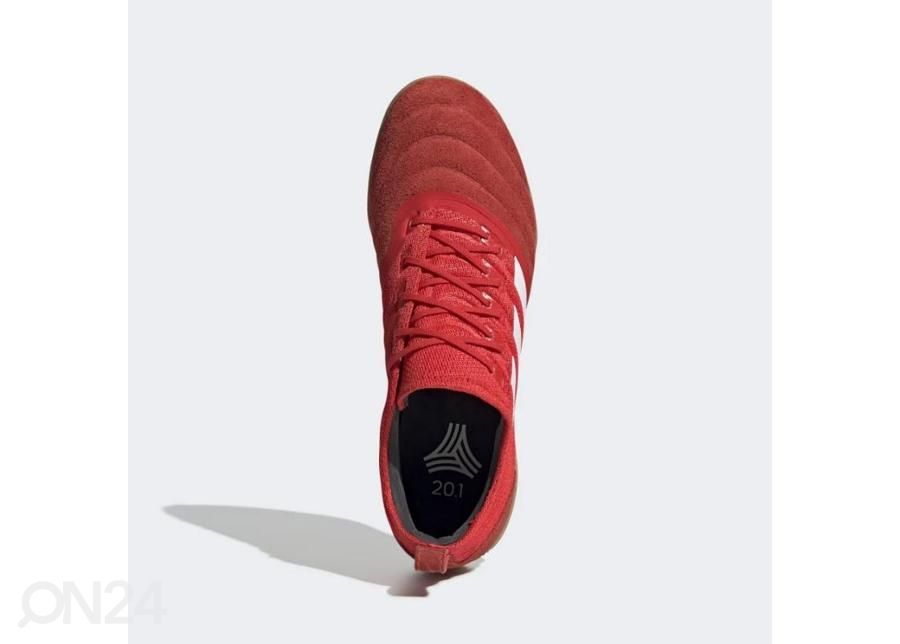 Meeste saali jalgpallijalatsid adidas Copa 20.1 IN M G28623 suurendatud