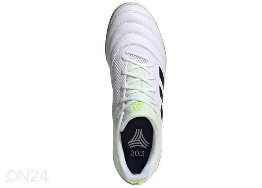 Meeste saali jalgpallijalatsid Adidas Copa 20.3 IN Sala M G28547 suurendatud