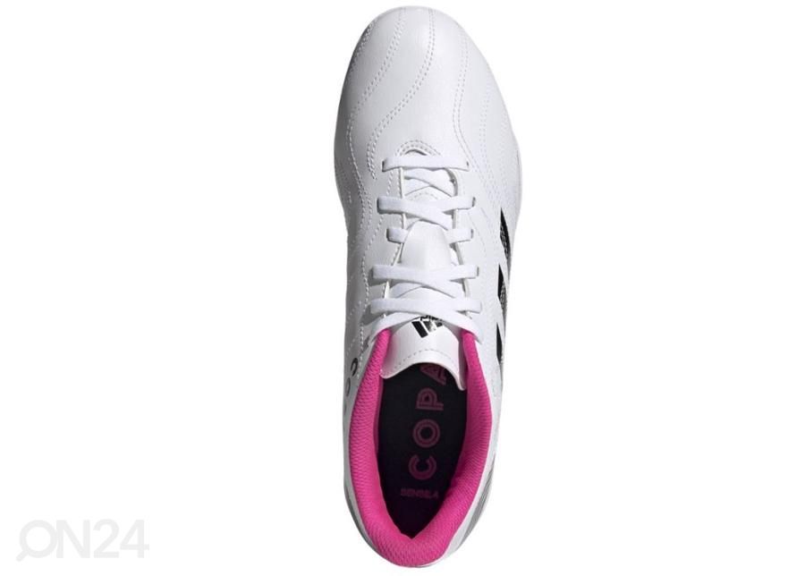 Meeste saali jalgpallijalatsid Adidas Copa Sense.4 IN suurendatud