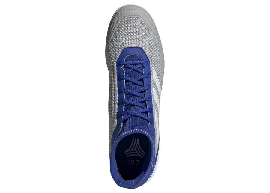 Meeste saali jalgpallijalatsid adidas Predator 19.3 IN M D97963 suurendatud