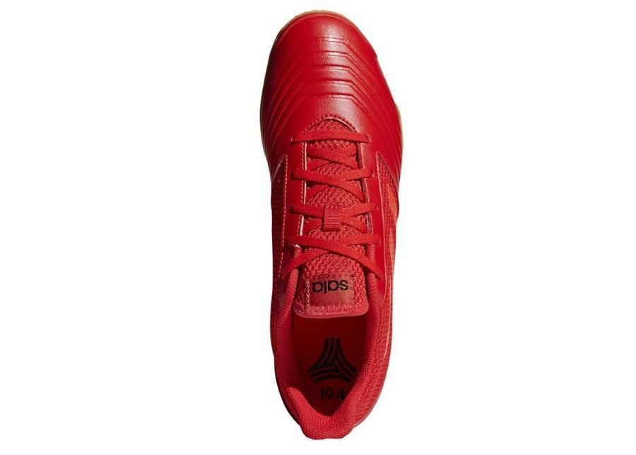 Meeste saali jalgpallijalatsid adidas Predator 19.4 IN Sala M D97976 suurendatud