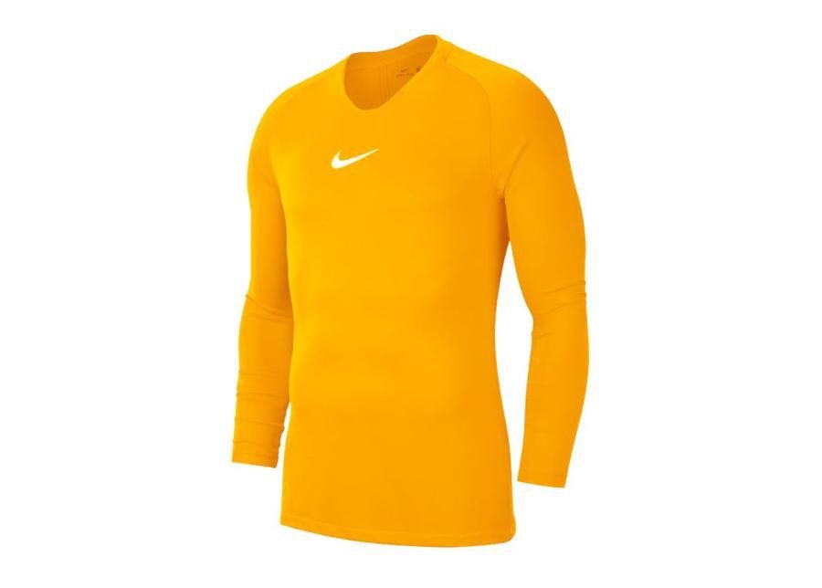 Meeste T-särk treeninguks Nike Dry Park First Layer M AV2609-739 suurendatud
