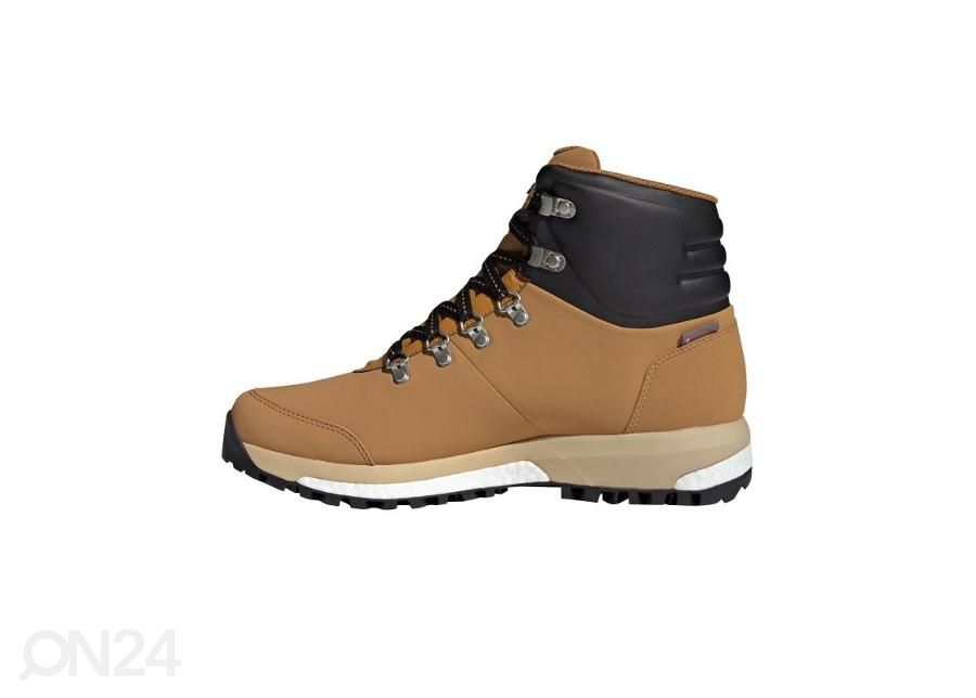 Meeste talvesaapad Adidas Terrex Pathmaker Rain.Rdy suurendatud