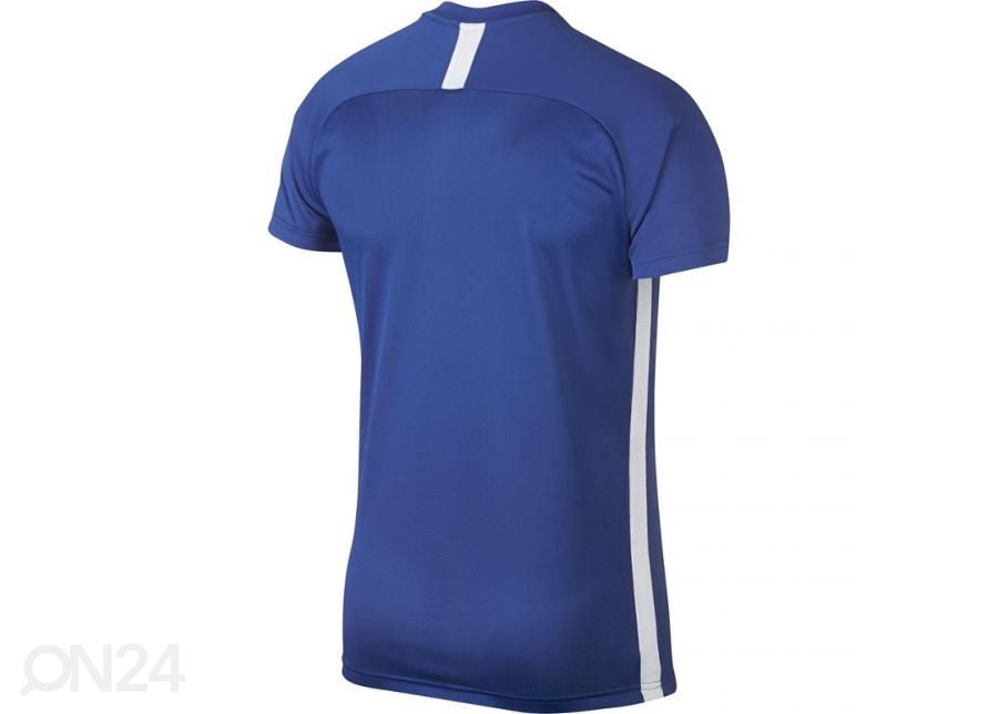 Meeste treeningsärk Nike M Dry Academy SS M AJ9996-480 suurendatud