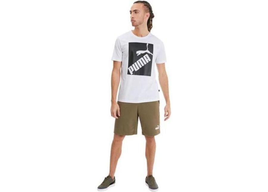 Meeste vabaajasärk Puma Big Logo Tee M 581386 02 suurendatud