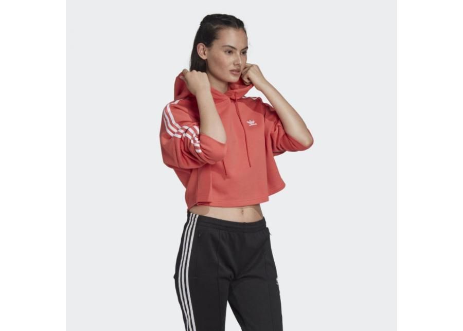 Naiste dressipluus adidas Originals Cropped Hoodie W FM3274 suurendatud