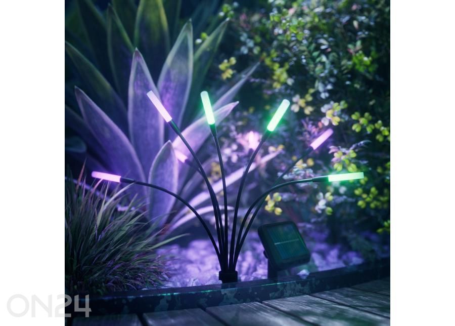 Nanoleaf päikeseenergial töötavad aialambid, 2 komplekti suurendatud