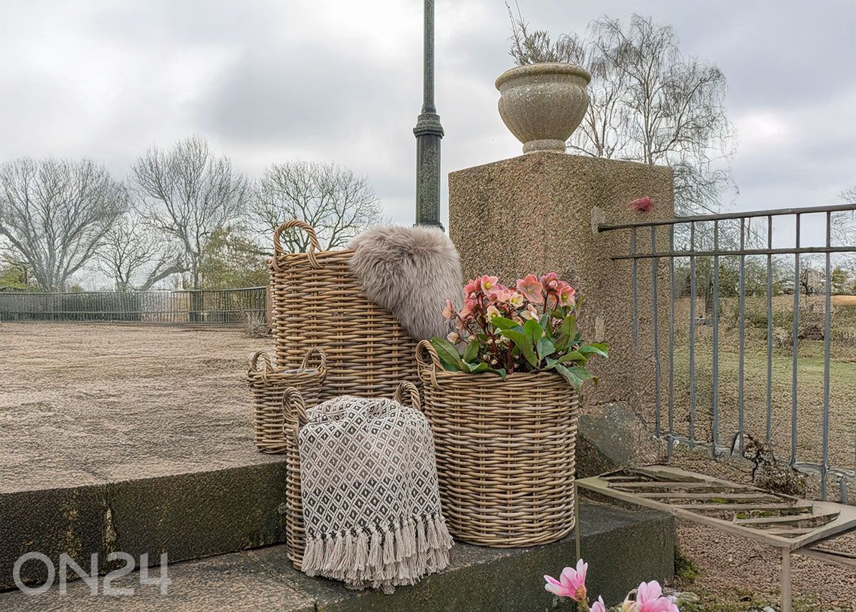 Pleed Alanya suurendatud