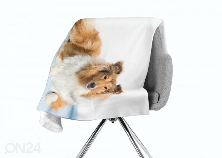 Pleed Beautiful Collie 130x150 cm suurendatud