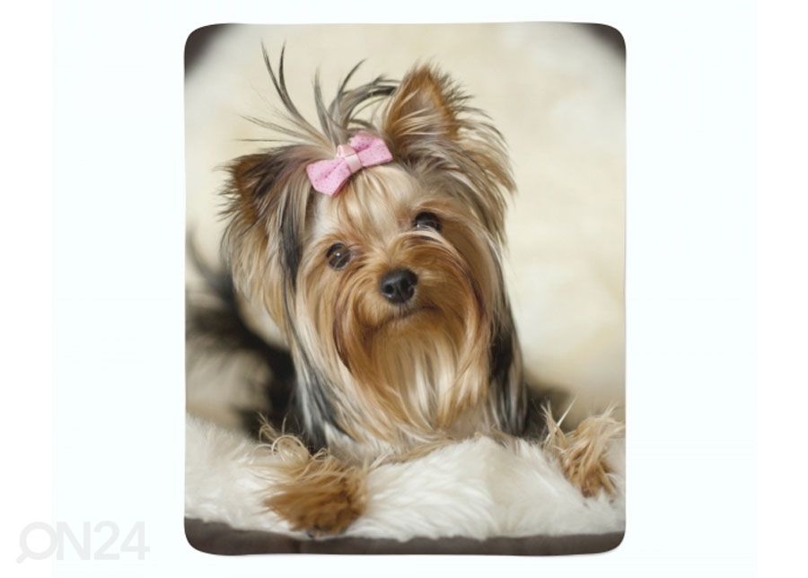 Pleed Cutie 150x200 cm suurendatud