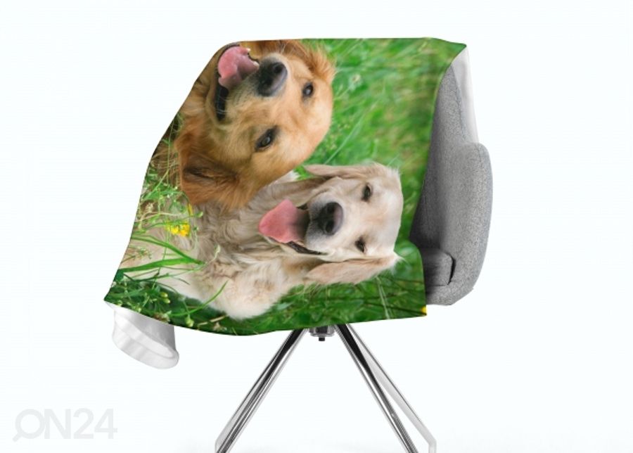 Pleed Labradors Retrievers in the Meadow 130x150 cm suurendatud