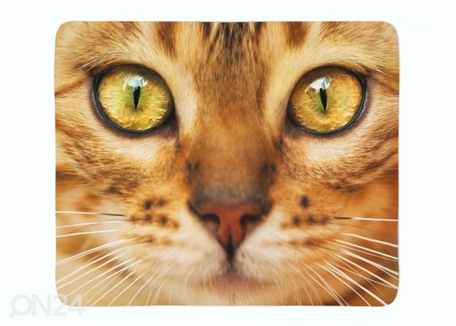 Pleed Red Cat 150x200 cm suurendatud