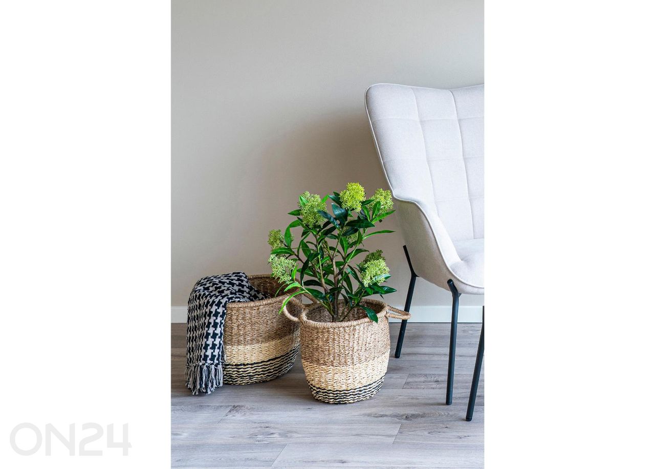 Pleed Side suurendatud