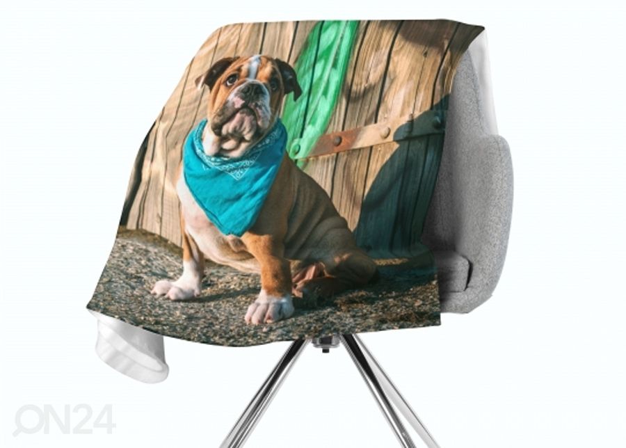Pleed Stylish English Bulldog Puppy 130x150 cm suurendatud