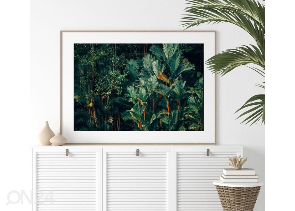 Poster Troopiline vihmamets 40x50 cm suurendatud