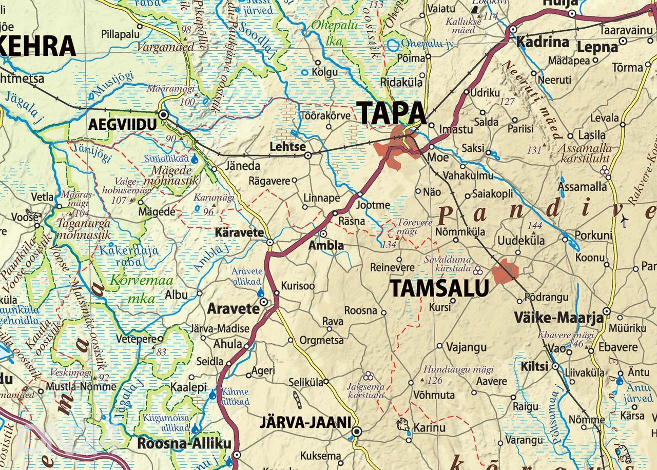 Regio Eesti üldgeograafiline seinakaart 163 x 115 cm suurendatud