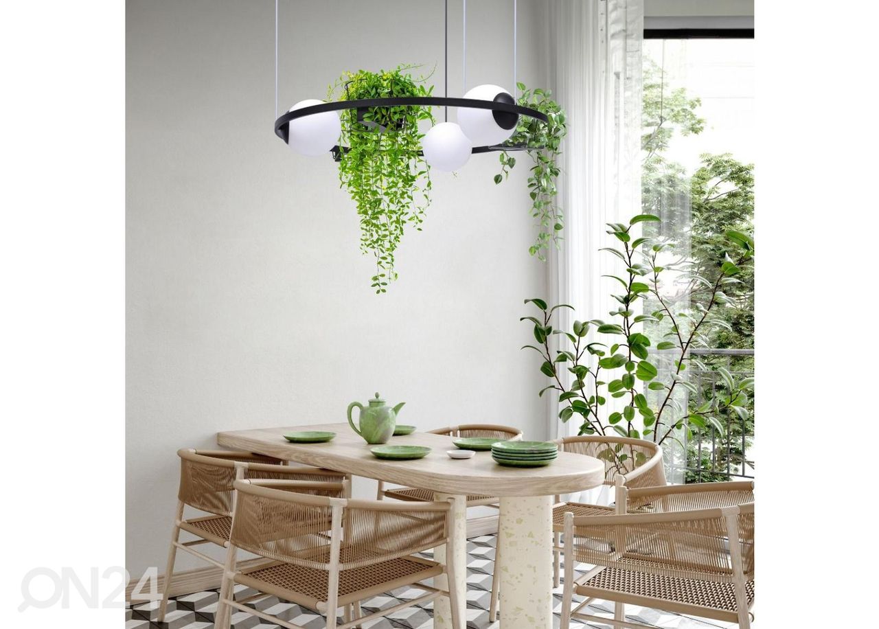 Rippvalgusti Plant 3 suurendatud