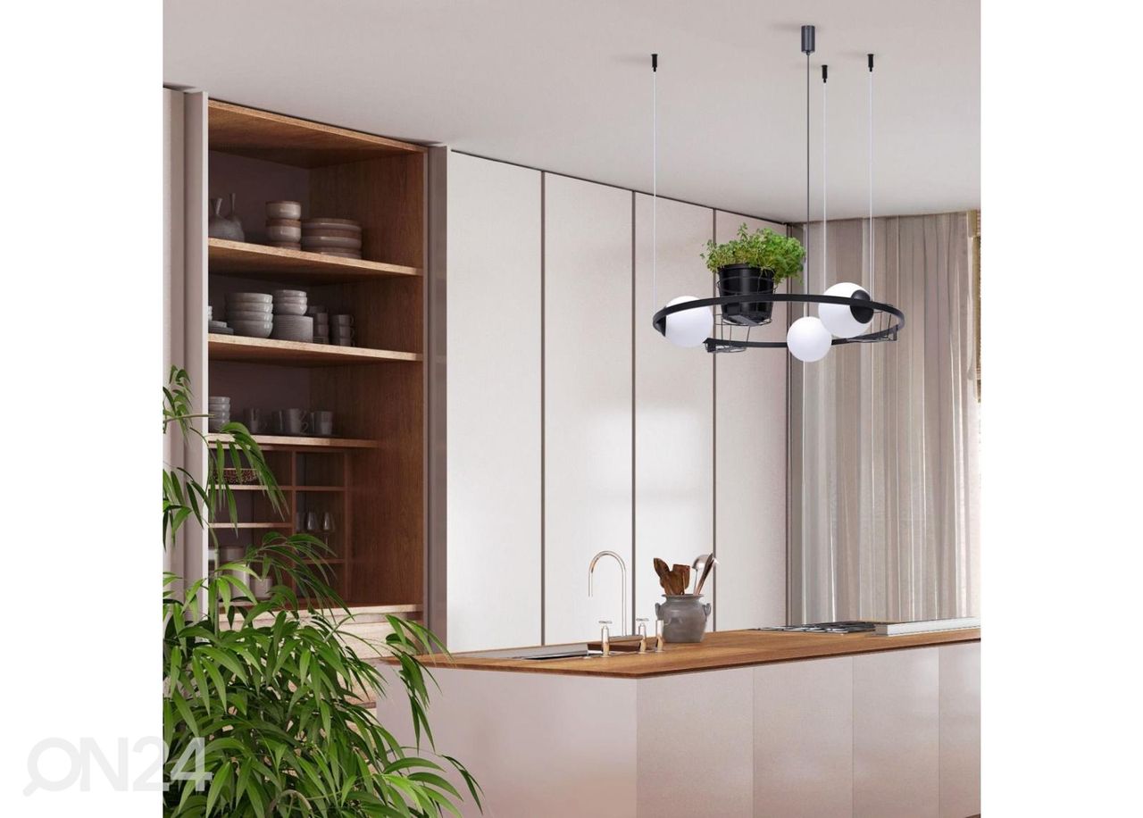 Rippvalgusti Plant 3 suurendatud