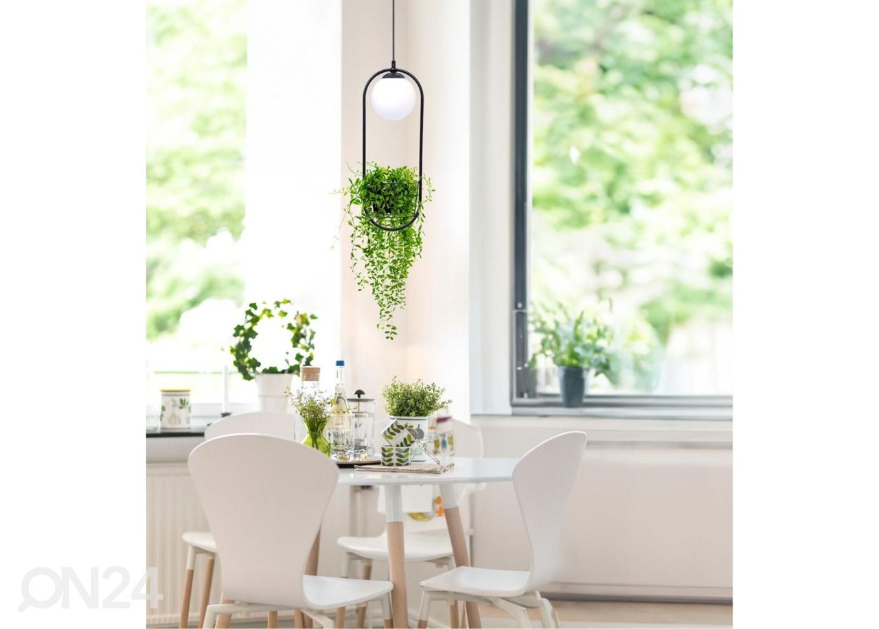 Rippvalgusti Plant suurendatud