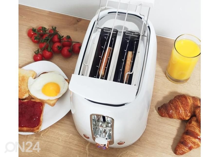 Röster Blaupunkt suurendatud