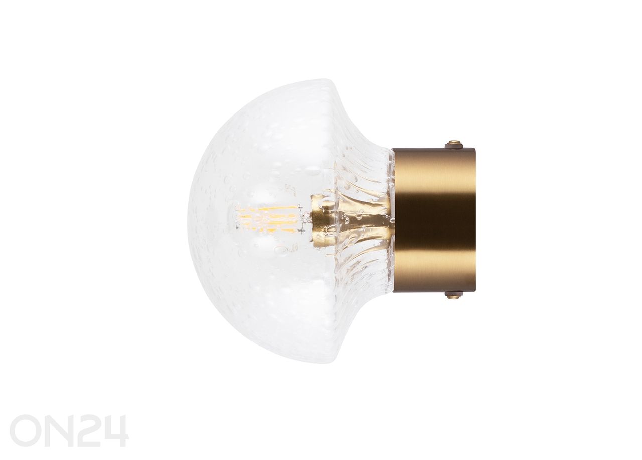 Seina/laelamp Fungo 16 suurendatud