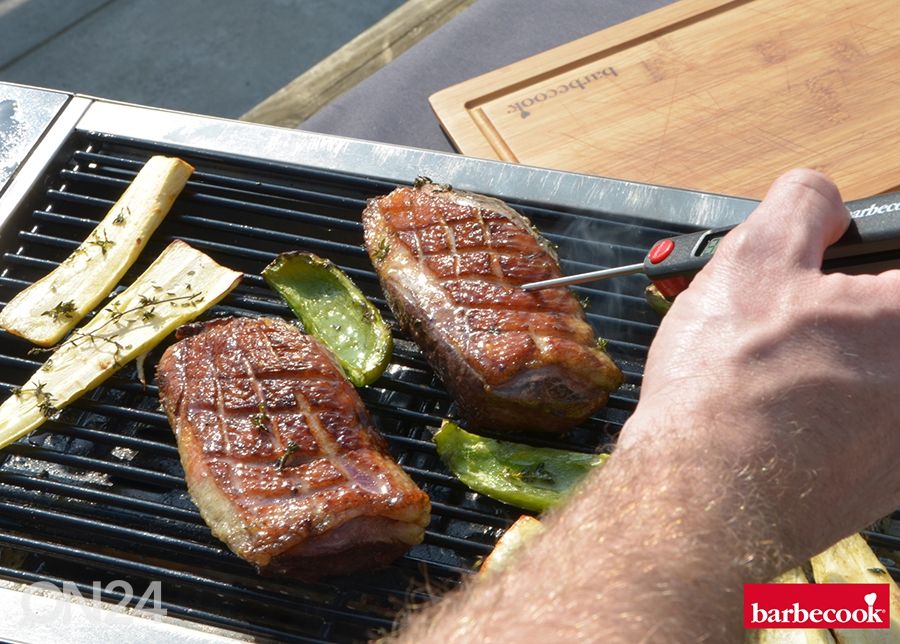 Söegrill Barbecook Karl suurendatud