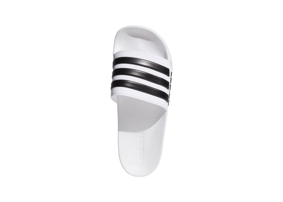 Täiskasvanute plätud adidas Adilette Shower AQ1702 suurendatud