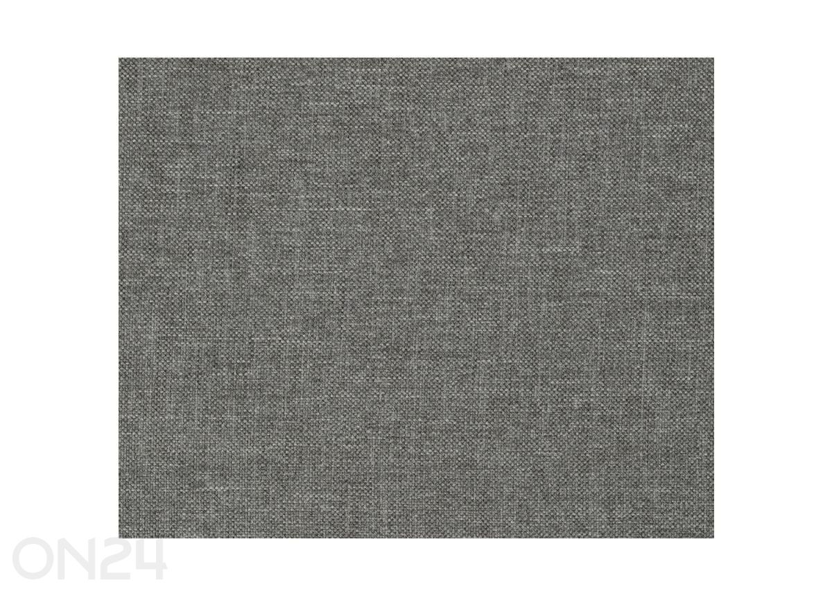 Tool Astra suurendatud