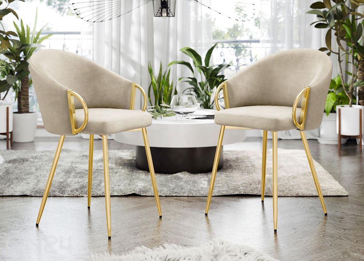 Toolid Muz, 2 tk suurendatud